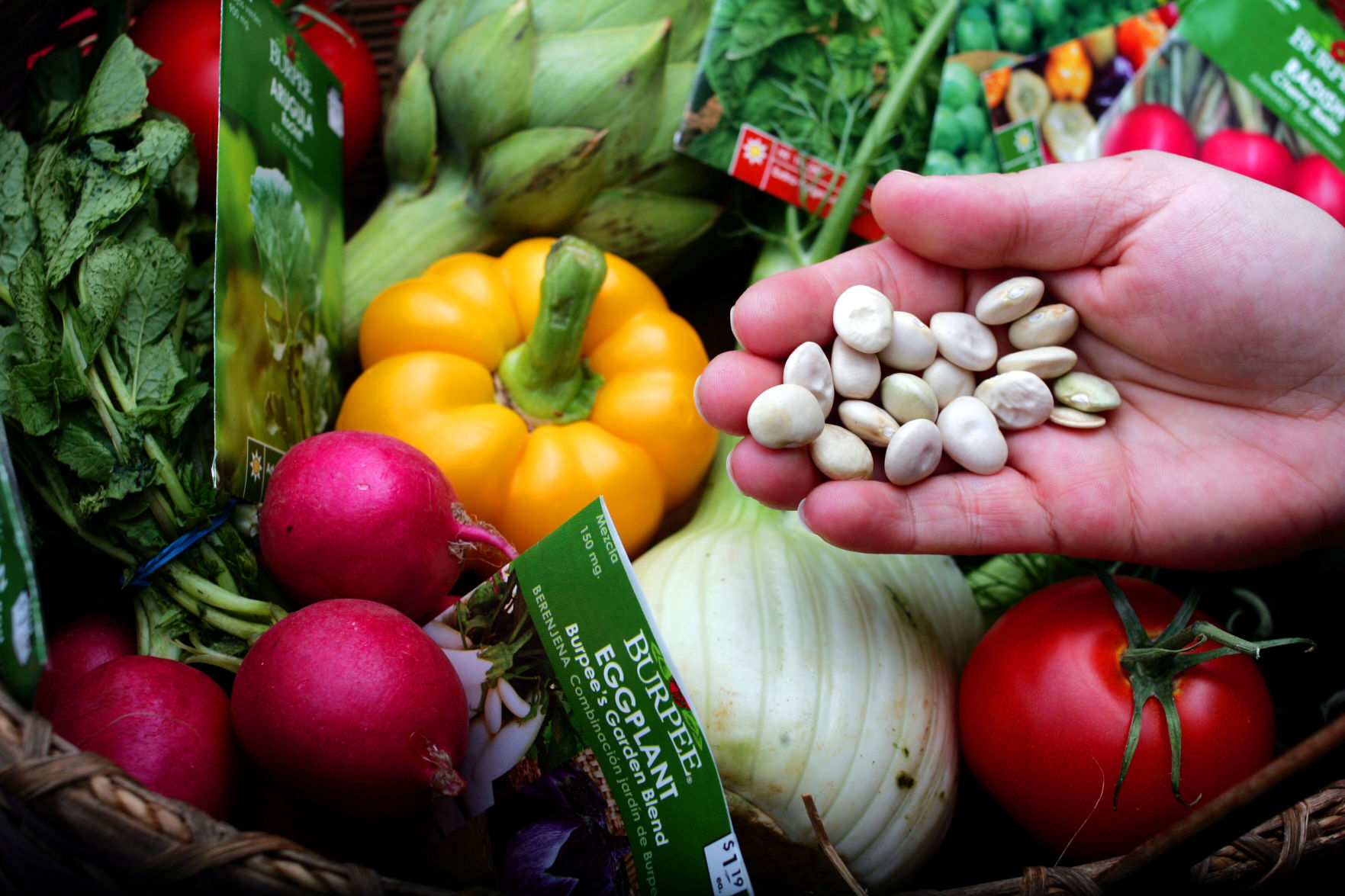 GARDENING FROM SEED.jpg
